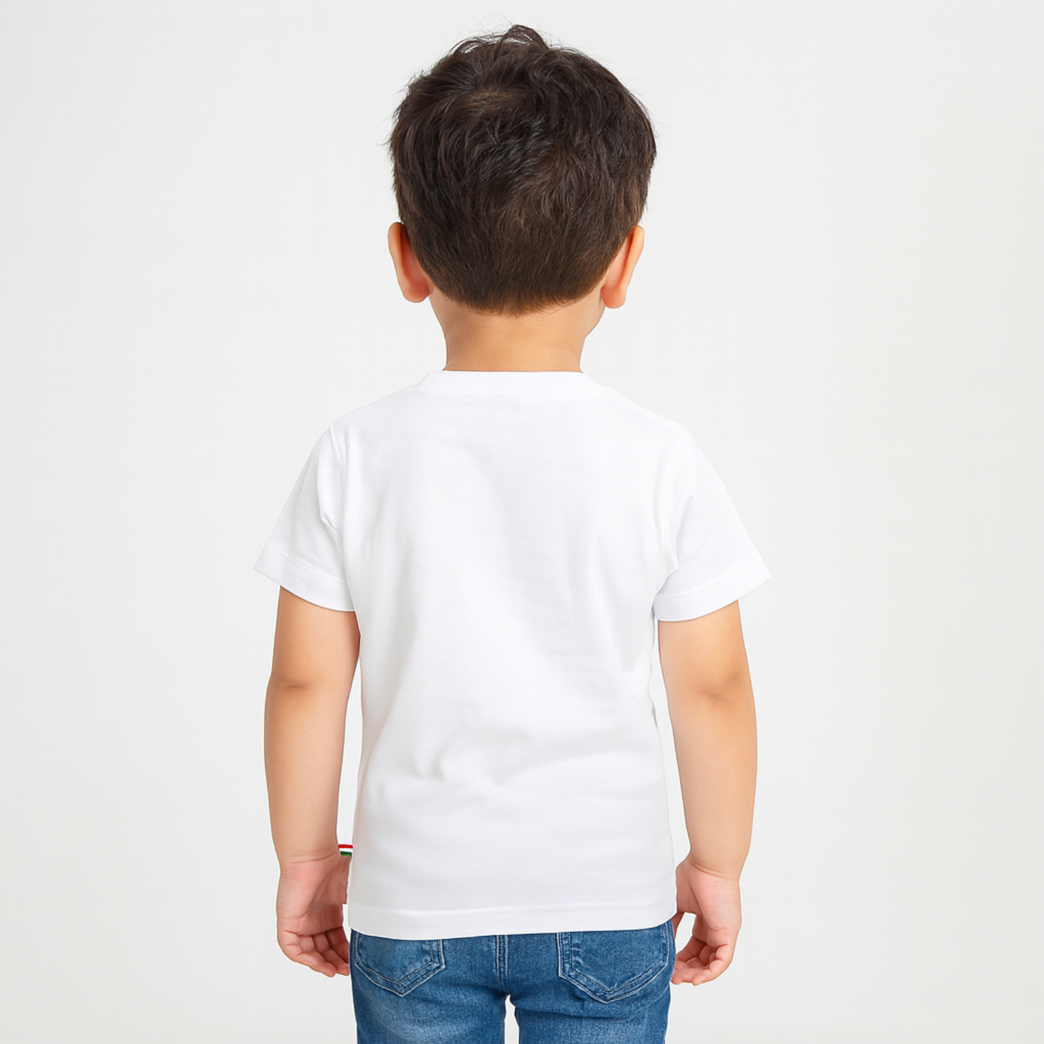 Smile Baby Incredible India Sequin T-Shirt for Kids (1–6 Years) – Tricolor Map Design