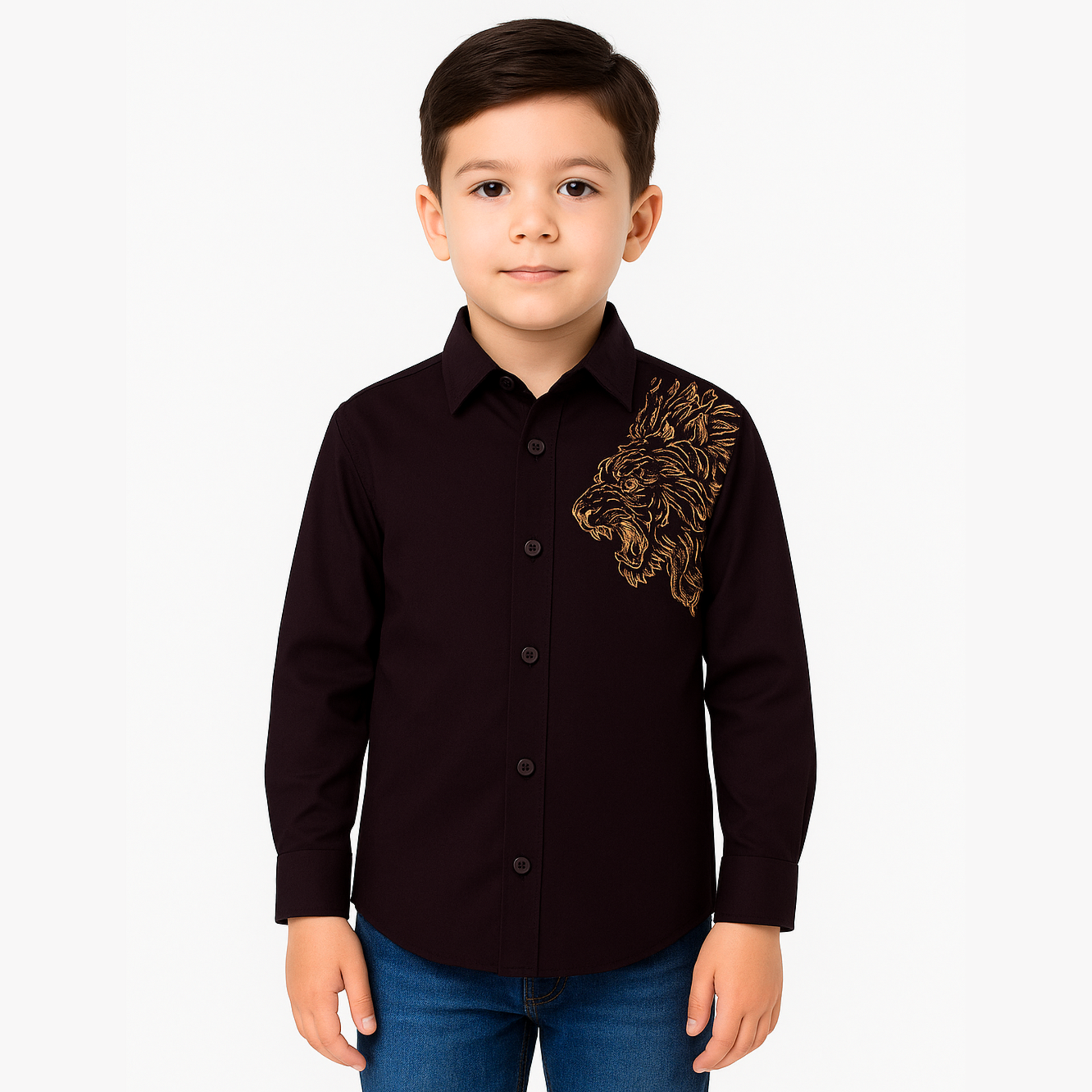 Blazo Boys’ Maroon Lion Embroidered Full Sleeve Shirt | Ages 1–10 Years