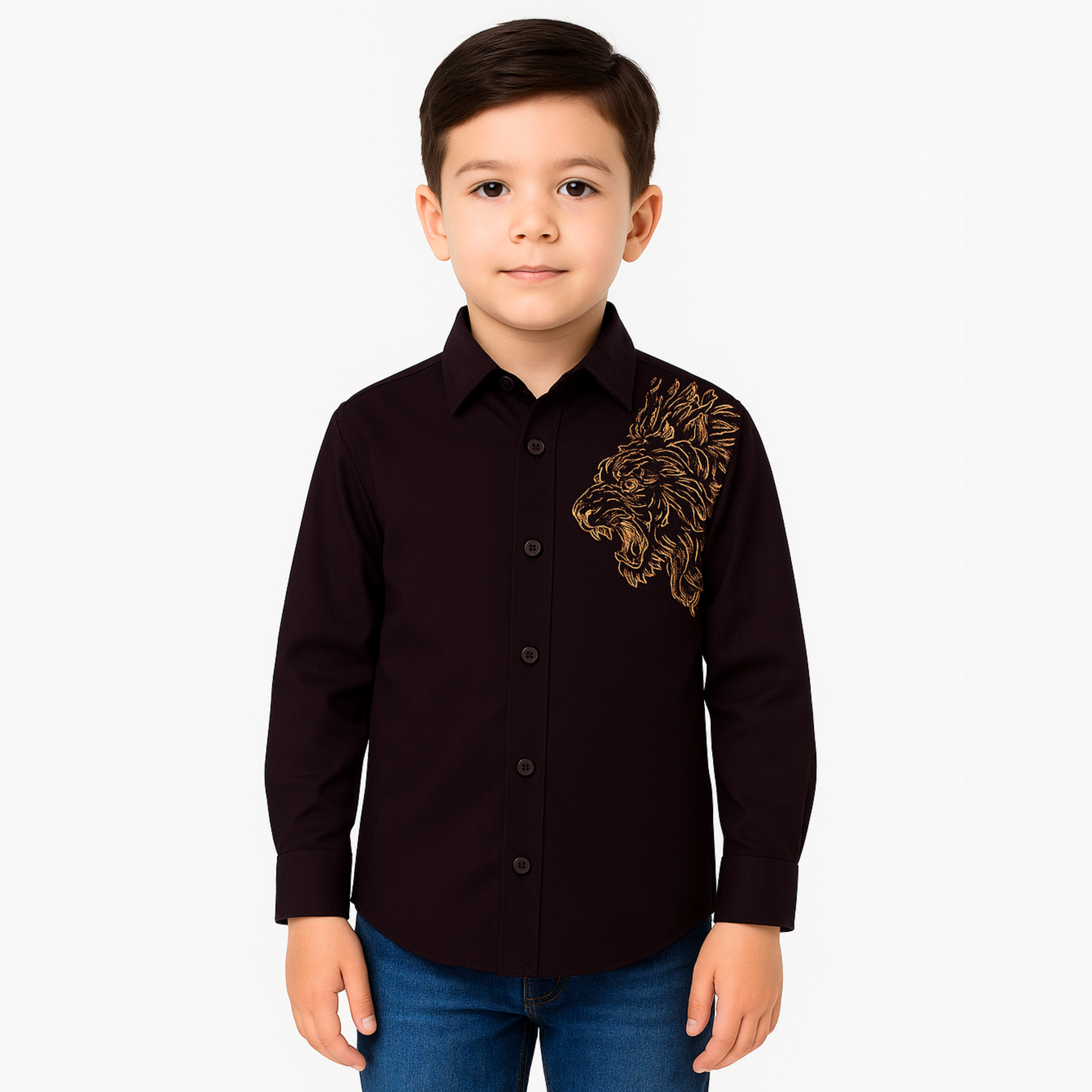 Blazo Boys’ Maroon Lion Embroidered Full Sleeve Shirt | Ages 1–10 Years