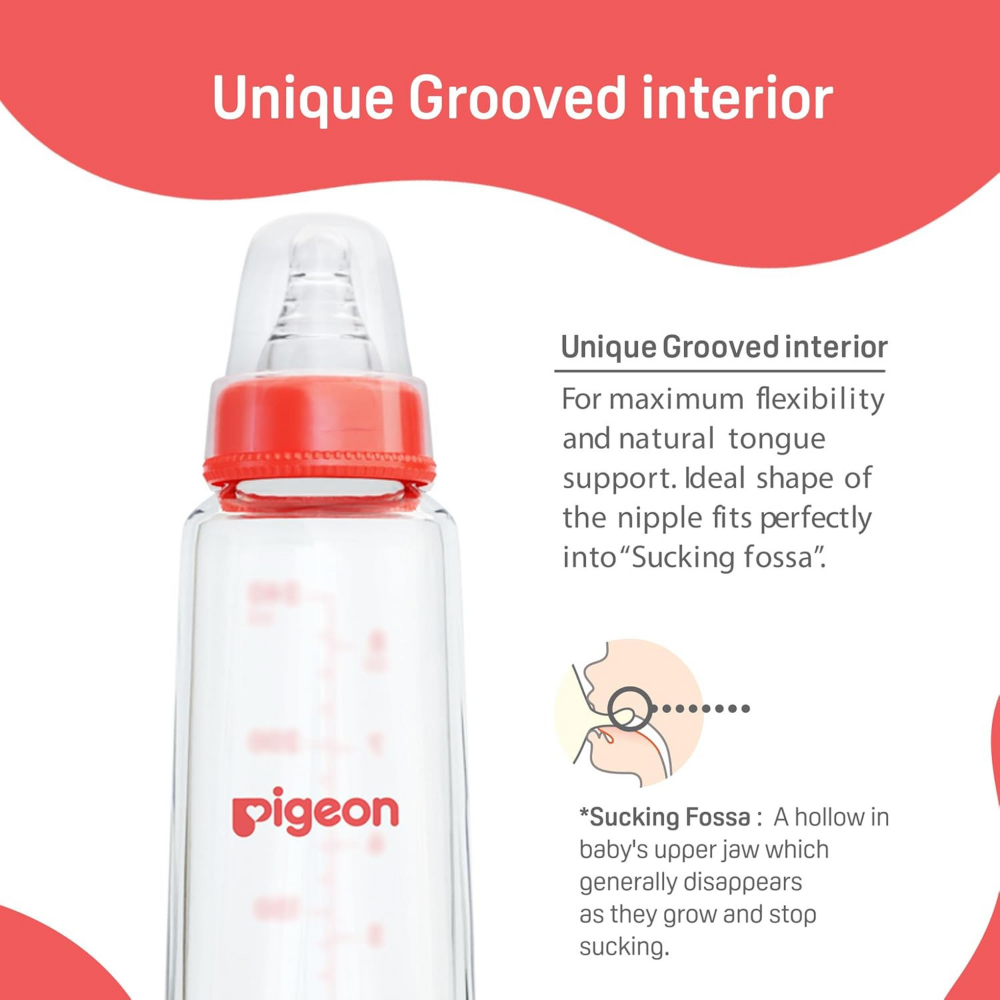 Pigeon Glass Baby Feeding Bottle, With Added Nipple L, For 9+ Month Babies,BPS Free,BPA Free,With Add Nipple L, 240 ml