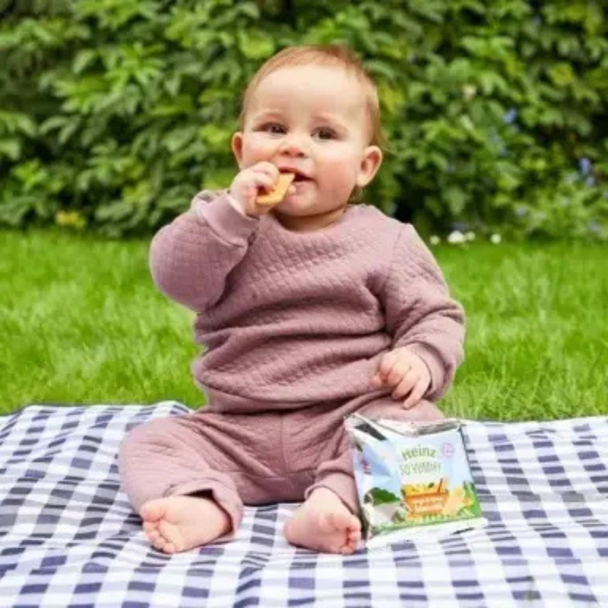 HEINZ SO YUMMY APPLE BISCOTTI BABY FOOD SNACKS 7+ MONTHS 60G