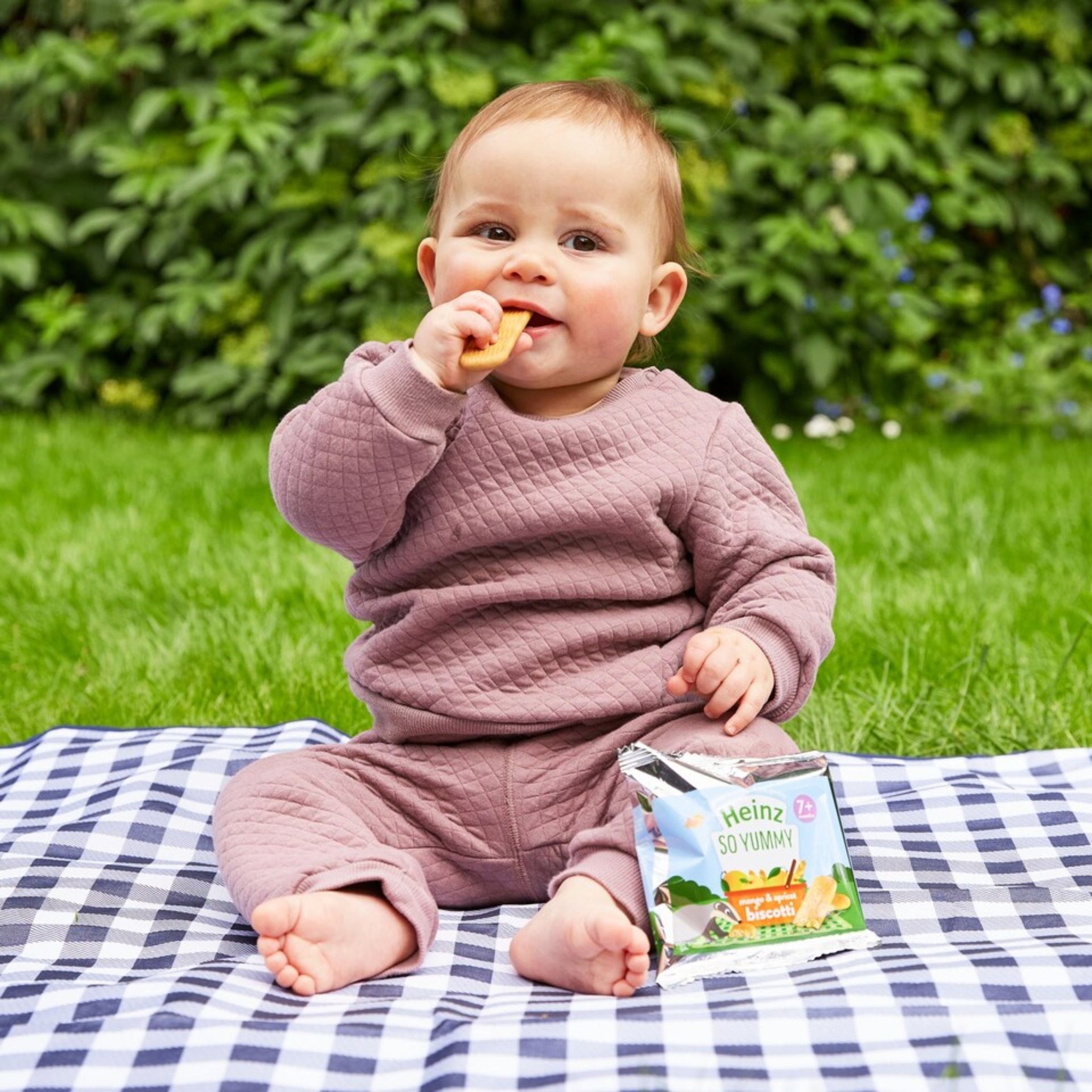 HEINZ SO YUMMYchocolet  BISCOTTI BABY FOOD SNACKS 7+ MONTHS 60G